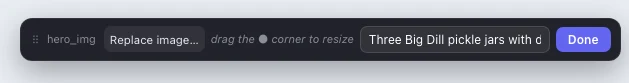 The image toolbar: Replace image, drag-the-corner-to-resize hint, and the alt text field